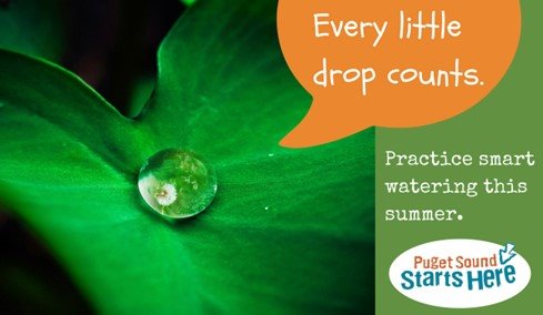 Leaf holding a drop of water. Text: Every little drop counts. Practice smart watering this summer. Puget Sound starts here.