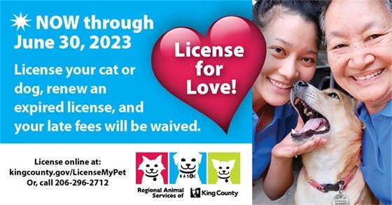 Flyer for License for Love campaign/renew cat or dog license before June 30 late fees waived