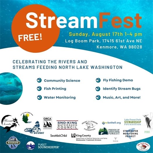 streamfest flyer 2025