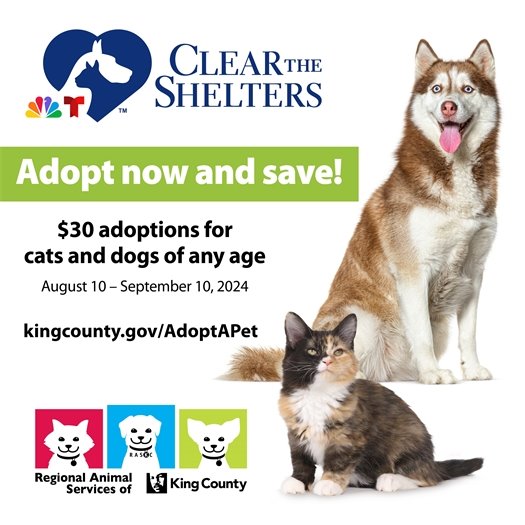 Clear the shelters, adopt any dog or cat for $30