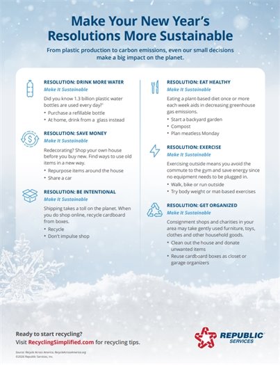Sustainable Resolutions Infographic