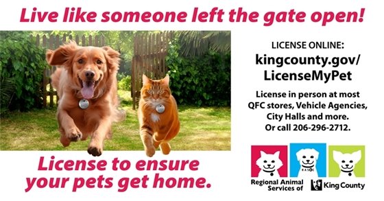 License your pets with RASKC
