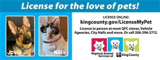 License for the love of pets flyer with photos of a German Shepherd named Jovie and cat named Nala