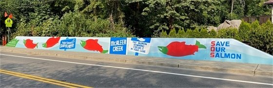 Save Our Salmon mural almost finished