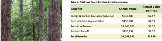 Table showing tree benefits summary
