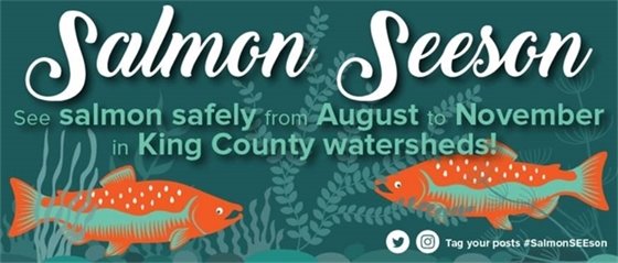 Salmon SEEson in King County watersheds