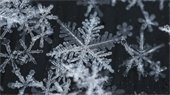 Closeup of snowflakes