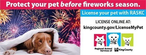 Dog hiding under a blanket because of fireworks