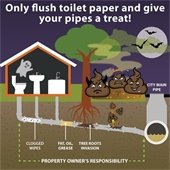 Only flush toilet paper and give your pipes a treat