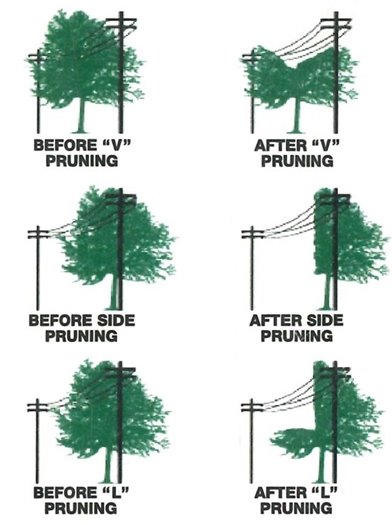 tree pruning examples