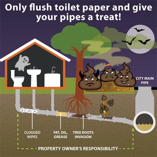 only flush toilet paper