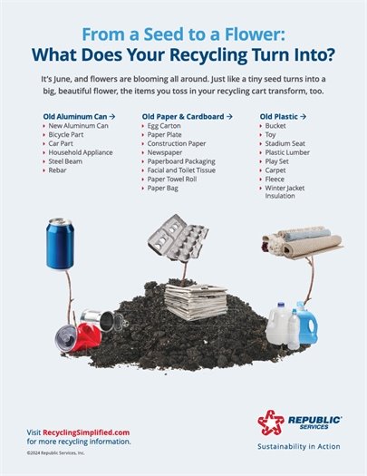 From a seed to a flower recycling tips 