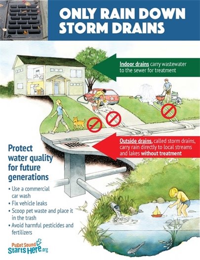 Poster with Only Rain Down Storm Drains